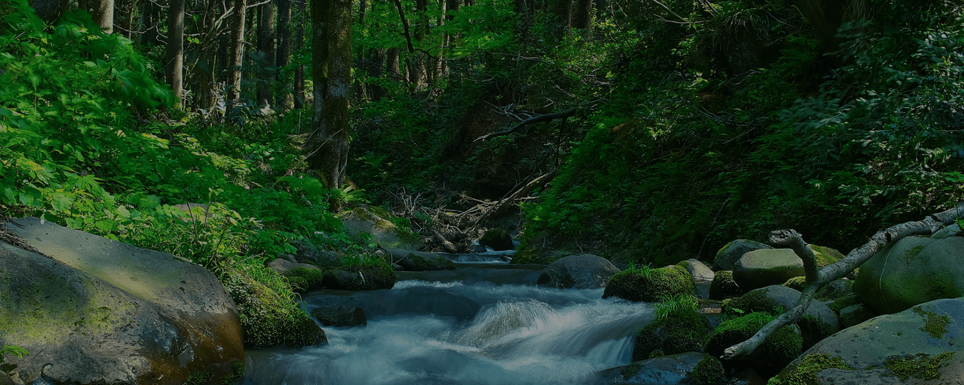 業務用オゾン発生器・オゾン発生装置 | 株式会社MEI