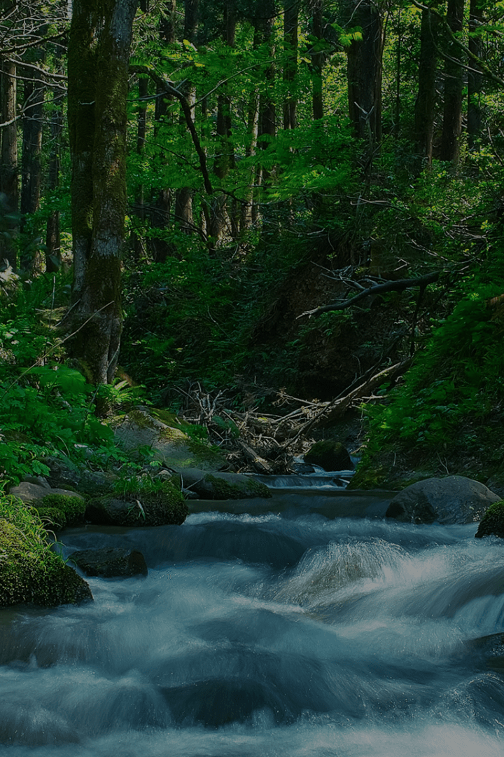 業務用オゾン発生器・オゾン発生装置 | 株式会社MEI